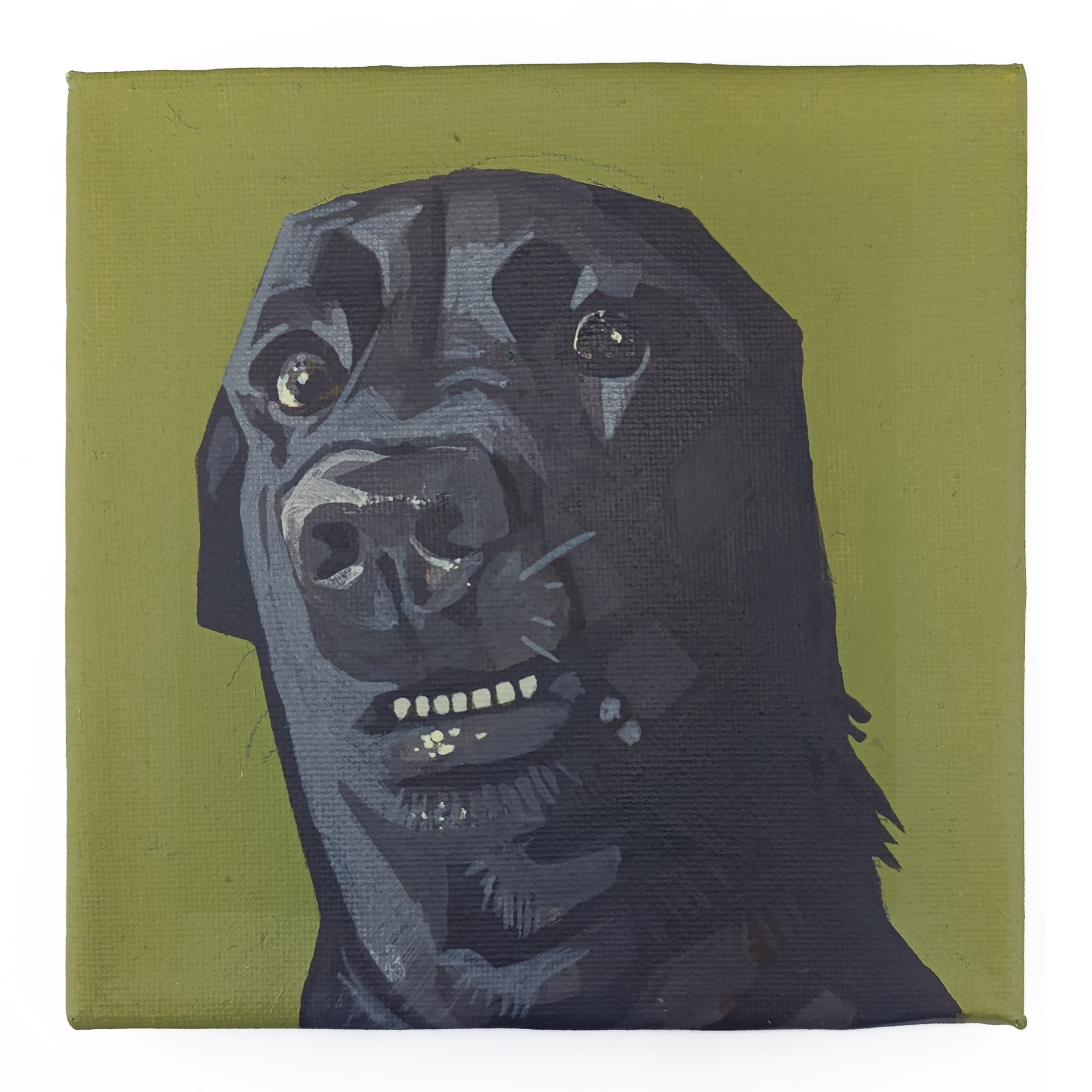 Dog Portraits Series - Black Lab