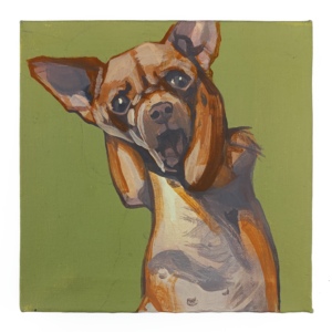 Dog Portraits Series - Orange Chihuahua