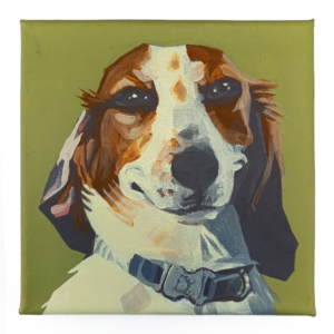 Dog Portraits Series - Tricolor Spaniel