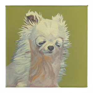 Dog Portraits Series - White Chihuahua